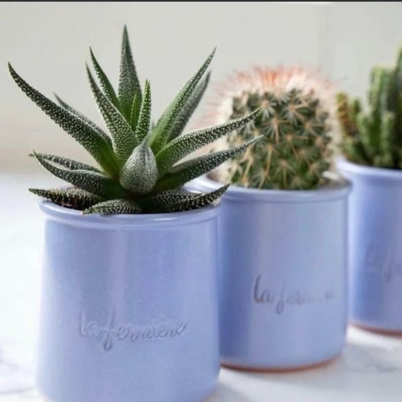 La Fermiére French Glazed Terracotta Pots set of 6 - Picture 12 of 14